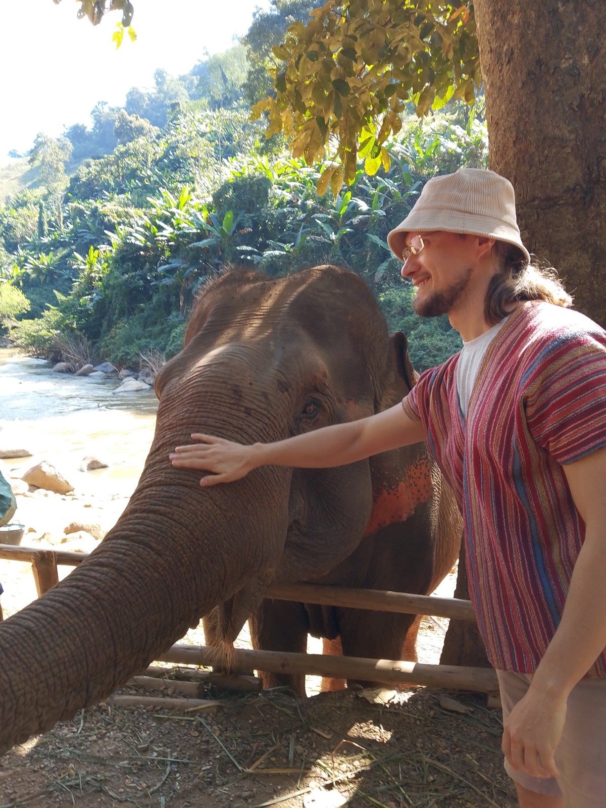 Elephant interaction