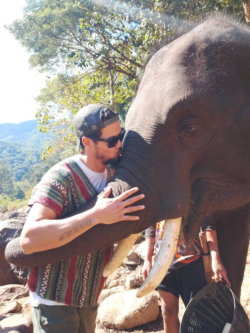 Preparing food for elephants